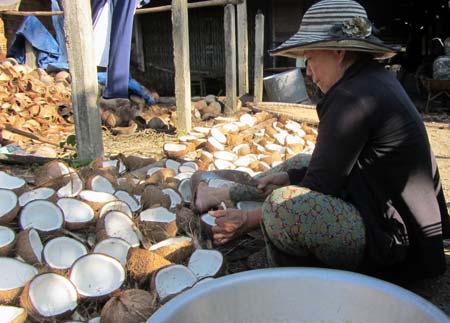 Bánh tráng nước dừa Hoài Nhơn