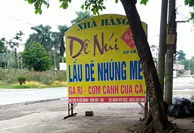 Dê Núi Sơn Lộc - xã Cổ Đông