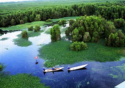 Du lịch sinh thái Vườn quốc gia U Minh Thượng