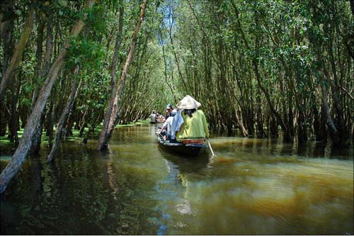 Khu di tích lịch sử sinh thái rừng tràm Đồng Tháp