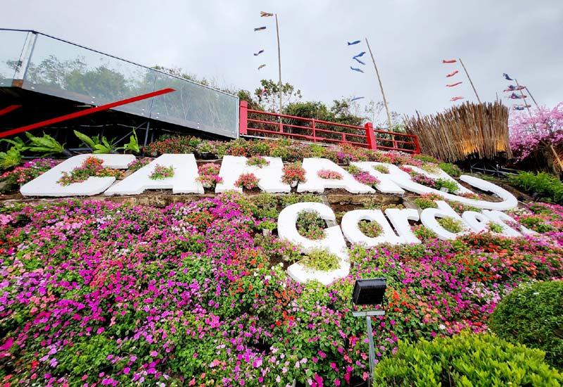 Canary Garden Phú Yên - Thiên đường sống ảo mới tại Tuy An, Phú Yên