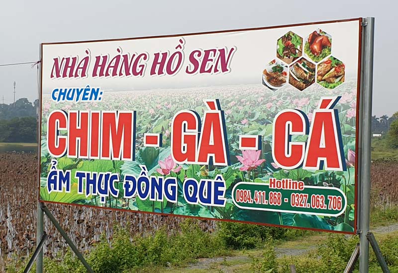 Nhà hàng Hồ Sen - KCNC Hòa Lạc, Thạch Thất, Hà Nội