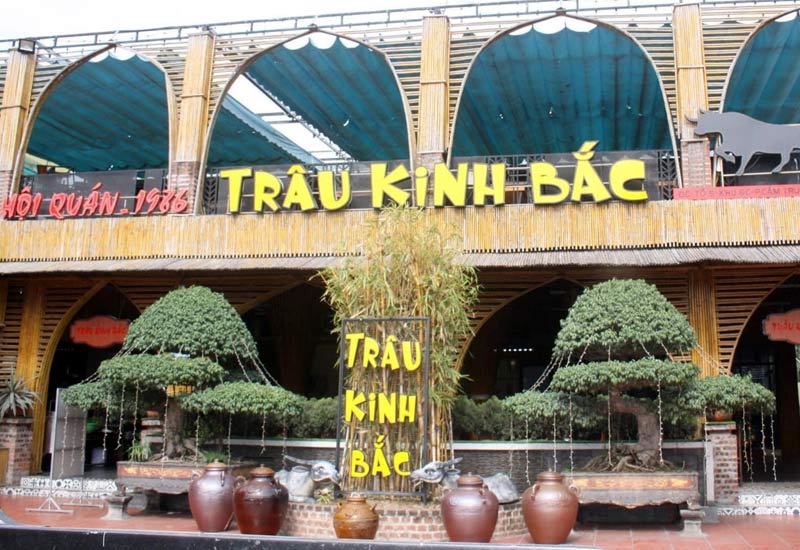 Trâu Kinh Bắc Cẩm Phả - Khu 6C Đông Bến Do, Cẩm Phả