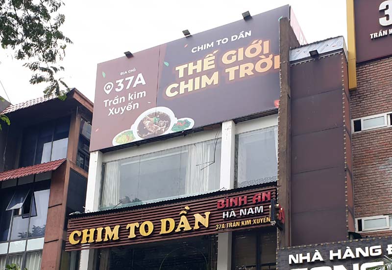 Chim To Dần - Thế giới chim trời tại 37A Trần Kim Xuyến