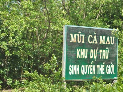 Vườn quốc gia Mũi Cà Mau