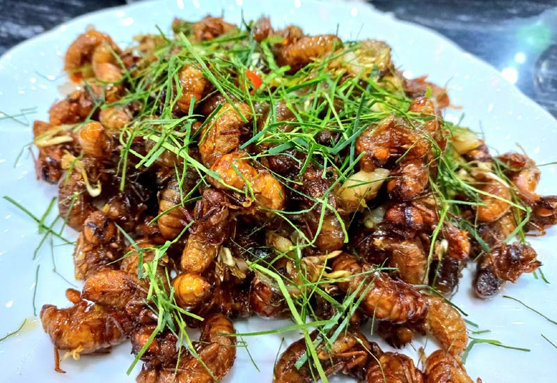 Nhà Hàng Tú Hói tại BT A18, lô 04 KĐT Geleximco, Lê Trọng Tấn, An Khánh, Hoài Đức, Hà Nội