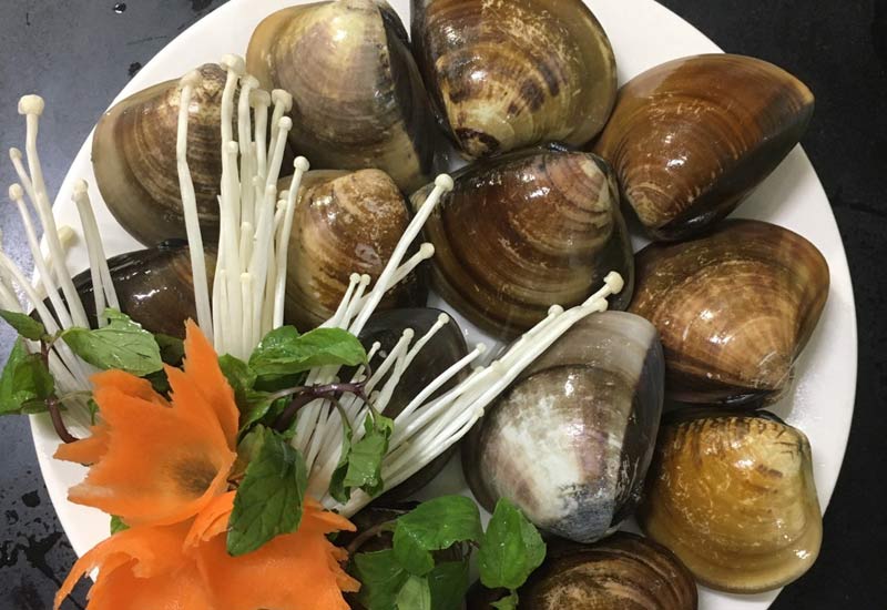 Nhà Hàng Úy Thanh Cô Tô 33 Đường Lê Quý Đôn, Khu 3, Thị Trấn Cô Tô, Quảng Ninh