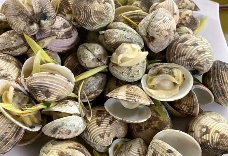 Nhà Hàng Úy Thanh Cô Tô 33 Đường Lê Quý Đôn, Khu 3, Thị Trấn Cô Tô, Quảng Ninh