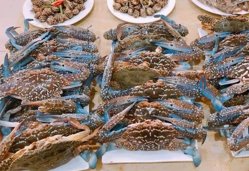 Nhà Hàng Úy Thanh Cô Tô 33 Đường Lê Quý Đôn, Khu 3, Thị Trấn Cô Tô, Quảng Ninh