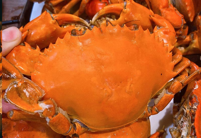 Buffet Chef Dzung 65 Lê Nin, P. Hà Huy Tập, TP. Vinh, Nghệ An