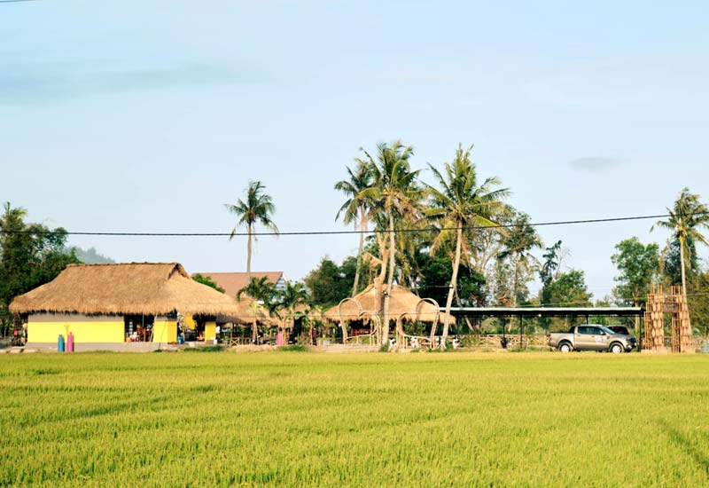 Ẩm Thực Làng Lúa - Quán ăn Sân vườn tại Ngãi An, xã Cát Khánh, huyện Phù Cát, Bình Định