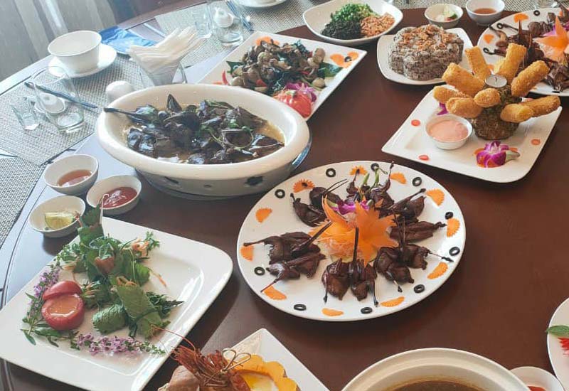 The Paradise Restaurant & Coffee 2 Ngõ 42 Đào Duy Từ, P. Đông Thành, Thành phố Ninh Bình