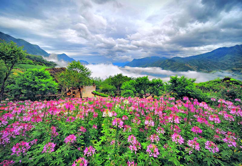 Vườn Vô Cực Sa Pa - Top 1 điểm check in săn mây ở Sapa - Lào Cai