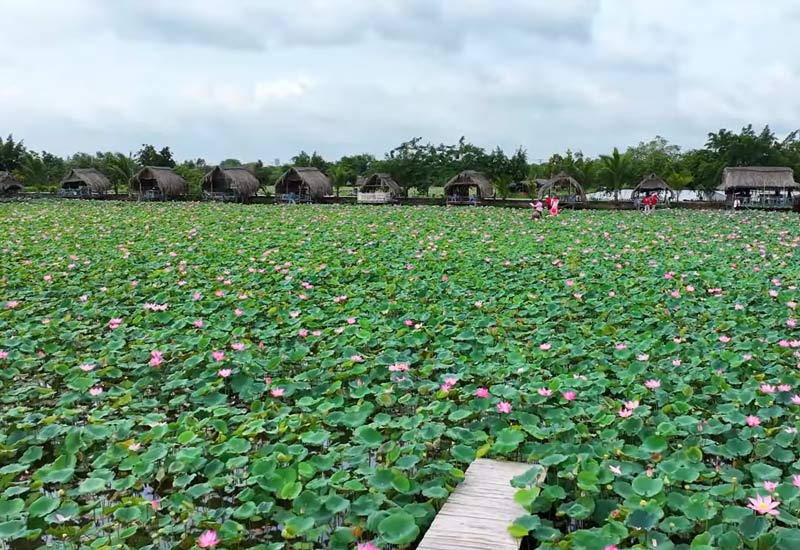 Nhà hàng ao sen Hồ Sen Hồ Nhà 233/22 Đường Tam Đa, Phường Trường Thạnh, Quận 9, TP. Hồ Chí Minh