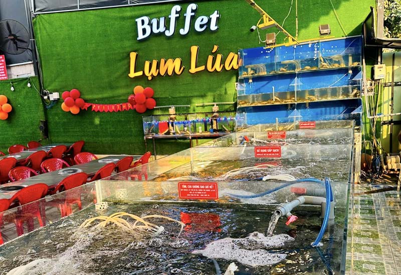 Buffet Lụm Lúa - Hải sản ăn thoải mái tại 74 Đường Phạm Đức Sơn, Quận 8, TP. Hồ Chí Minh