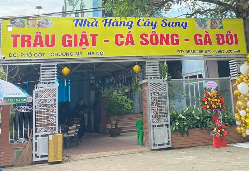 Nhà Hàng Cây Sung tại QL6, phố Gốt, xã Đông Sơn, Chương Mỹ, Hà Nội