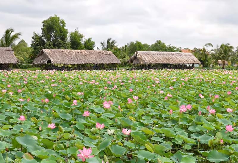 Nhà hàng Hồ Sen Hồ Nhà 233/22 Đường Tam Đa, Phường Trường Thạnh, Quận 9, TP. Hồ Chí Minh