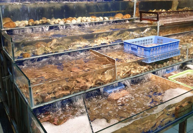 Nhà Hàng Thuận Phát - Hải Sản ở Ngõ 176 đường Cao Lỗ, Xóm Hậu, Uy Nỗ, Đông Anh, Hà Nội