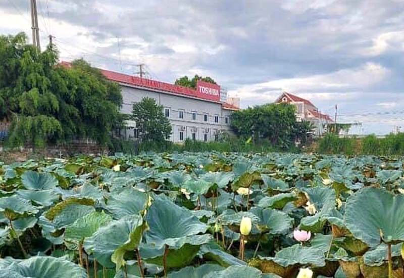 Nhà Hàng Phương Dung ở Cây xăng Triệu Đề, Lập Thạch, Vĩnh Phúc