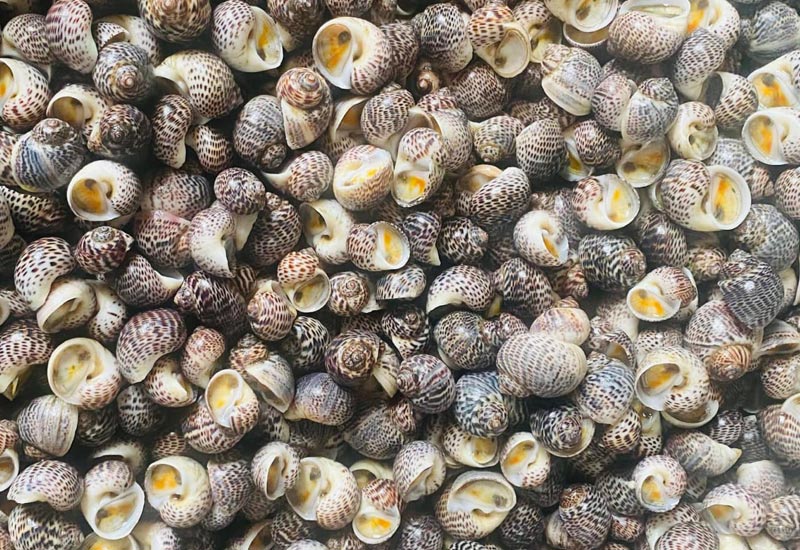 Ốc Me Nướng & Lẩu Vương Vy 58 Lĩnh Nam, Mai Động, Hoàng Mai, Hà Nội