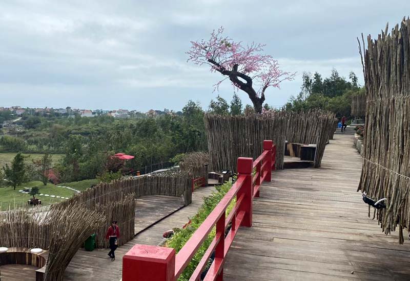 Canary Garden Phú Yên - Khu vườn Nhật tại Thôn Tân An, xã An Hoà Hải, huyện Tuy An, Phú Yên