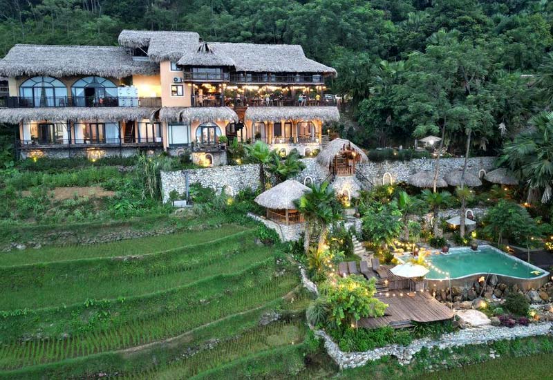 The Palm Puluong Homestay & Restaurant