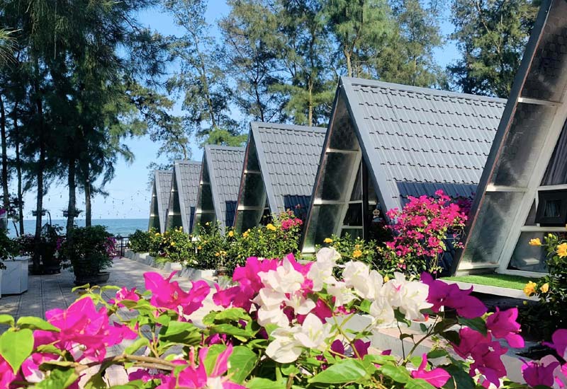 Vy Vy Homestay - Khu nghỉ bungalow mặt biển Hải Hòa