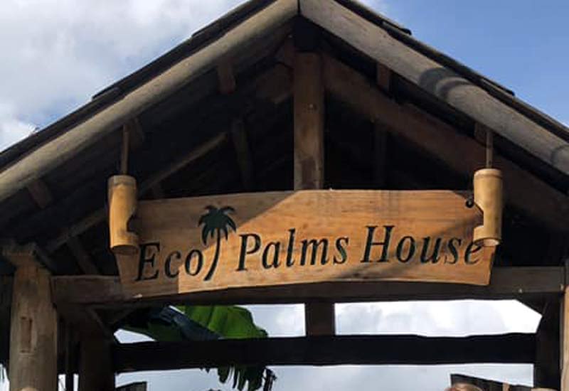 Eco Palms House 