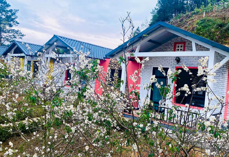 Hình ảnh đẹp khu nghỉ dưỡng Xuân Hòa Sơn 