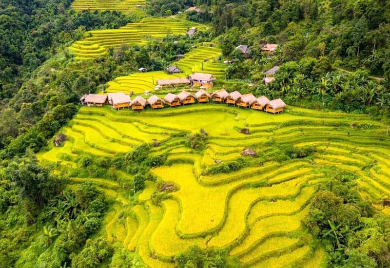 Top homestay ngắm ruộng bậc thang đẹp ở Hà Giang