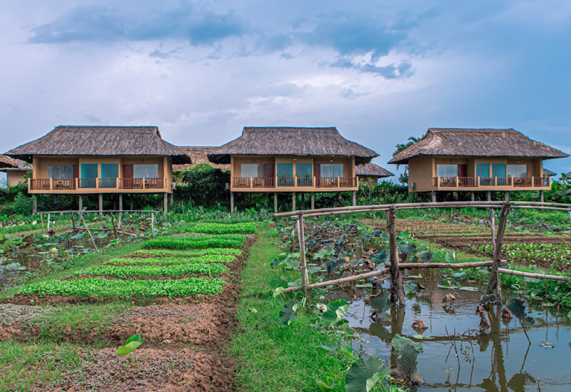 Khu nghỉ dưỡng nhà gỗ Mekong Riverside Boutique tại Ấp Hòa Quý, xã Hòa Khánh, Huyện Cái Bè, Tiền Giang