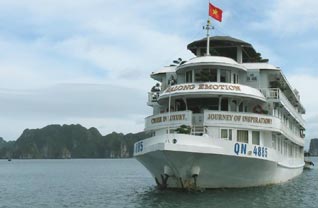 Explore Halong bay with over 50 cruises divided into 5 types
