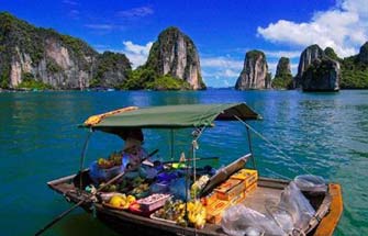 Overseas Vietnamese in Cambodia vote for Ha Long Bay