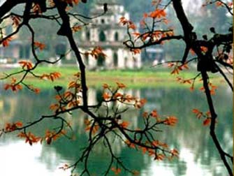 Street flower festival in Hanoi